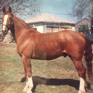 Meet your Posher, Janet